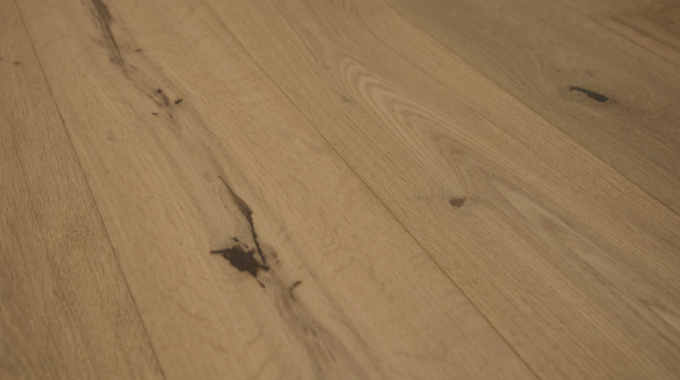 MORAINE | Oak